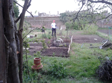 Goldsmiths Allotments when they were actively used